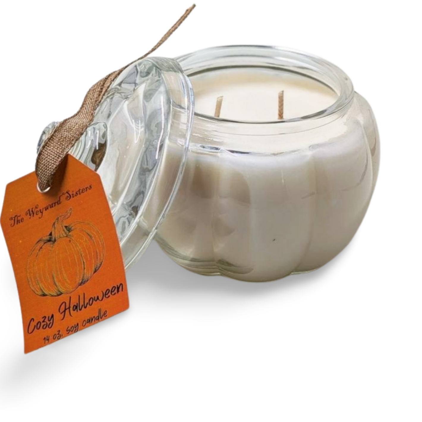 COZY HALLOWEEN 14 OZ PUMPKIN JAR CANDLE